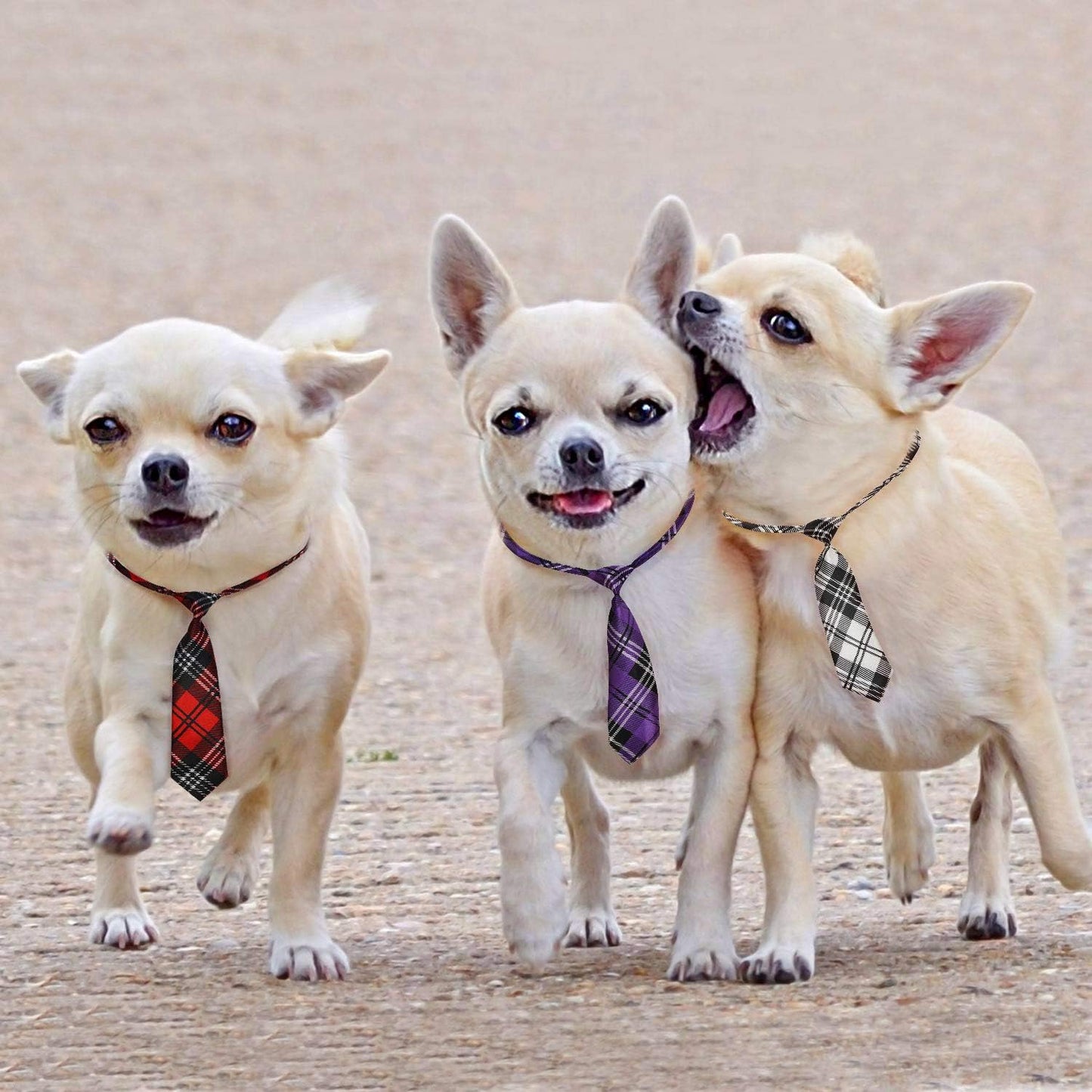 Adjustable Dog Neck Ties for Large Breeds - Bulk Bow Ties and Neckties for Grooming Accessories, Ideal for Valentine's Day, Birthdays, Weddings, and Cosplay Costumes