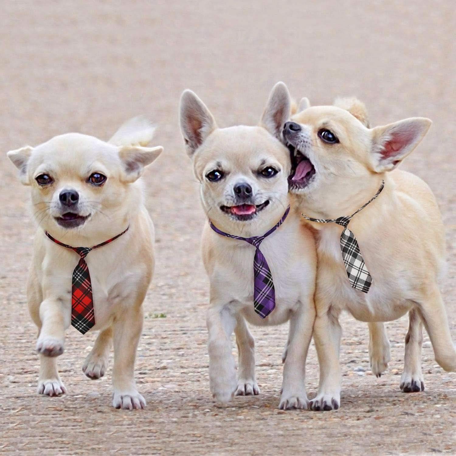 Adjustable Dog Neck Ties for Large Breeds - Bulk Bow Ties and Neckties for Grooming Accessories, Ideal for Valentine's Day, Birthdays, Weddings, and Cosplay Costumes