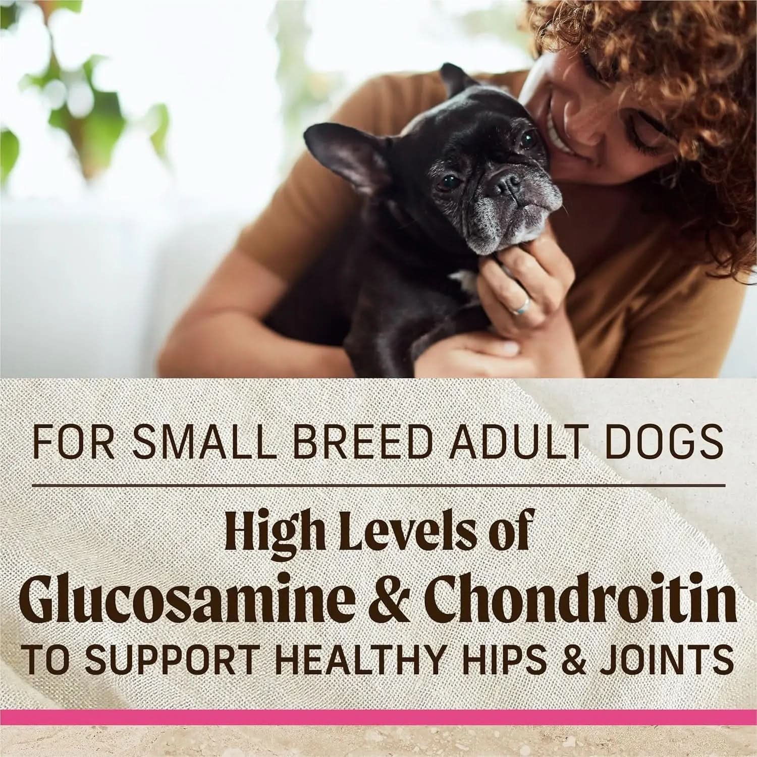 Healthy Grains Premium Dry Dog Food for Small Breeds, Natural Kibble Recipe - 12 lb Bag