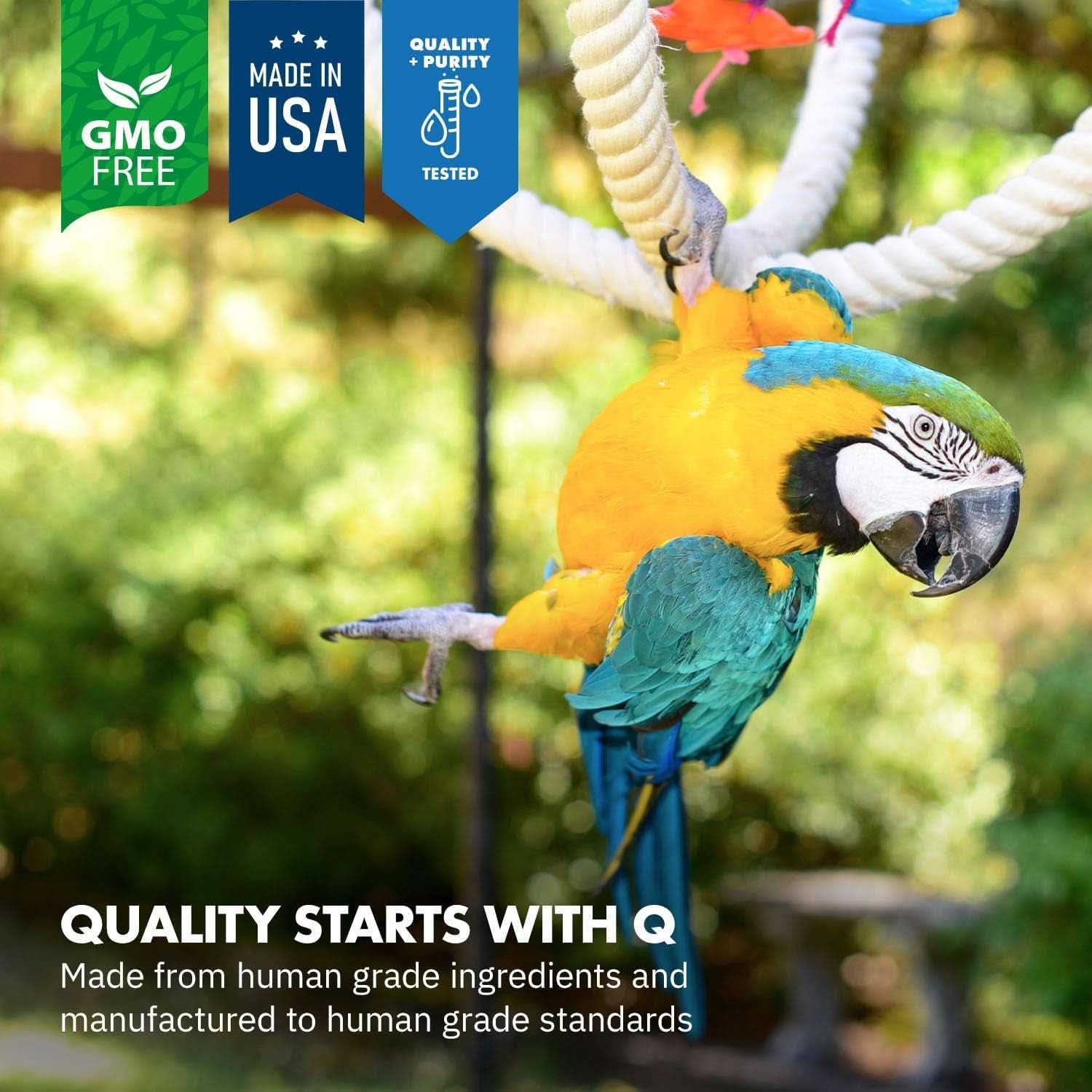 Healthygut™ Avian Probiotics Dietary Supplement for Parrots - All-Natural Digestive Support Formula (120 Servings)