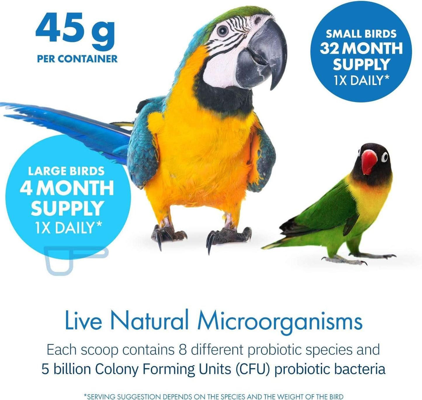 Healthygut™ Avian Probiotics Dietary Supplement for Parrots - All-Natural Digestive Support Formula (120 Servings)