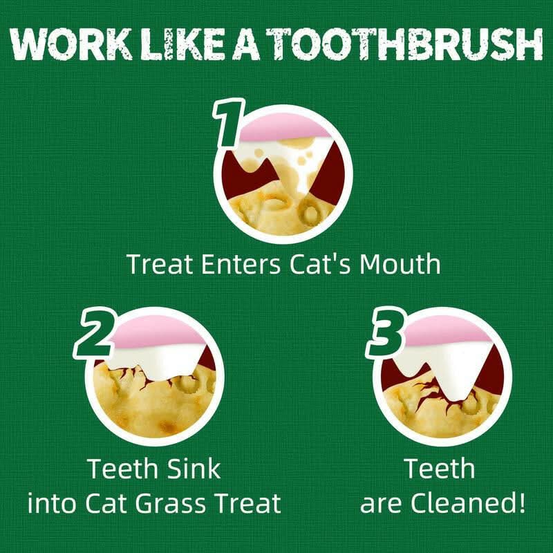 Just Try Salmon Oil Treats with Cat Grass| Natural Salmon Flavor | Kitten & Cat Healthy Training Biscuits | Fish Oil Omega-3 Supplements