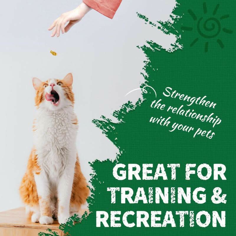 Just Try Salmon Oil Treats with Cat Grass| Natural Salmon Flavor | Kitten & Cat Healthy Training Biscuits | Fish Oil Omega-3 Supplements