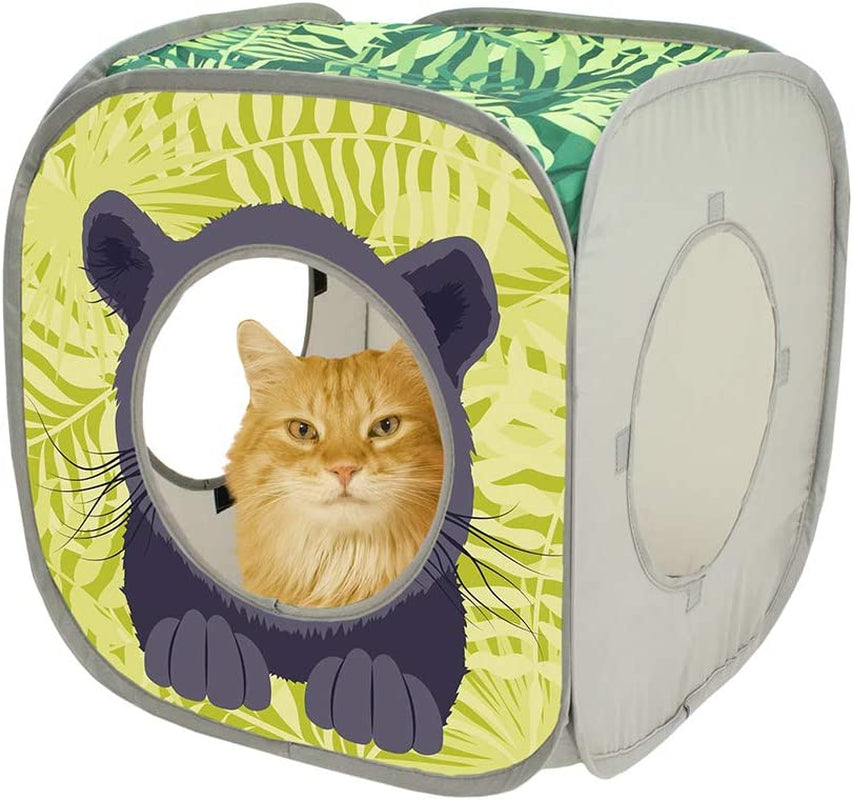 Safari Jungle Collapsible Cat Toy Cube Collection