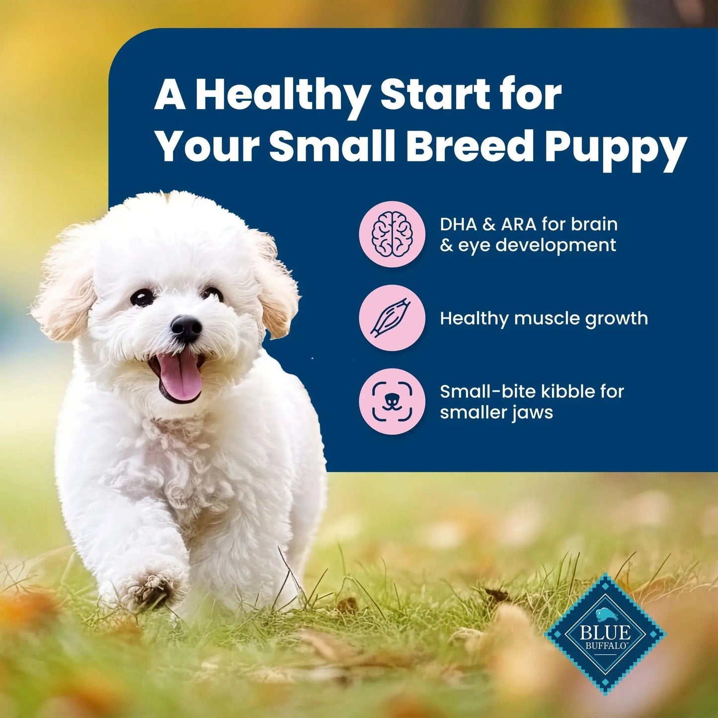 Life Protection Formula Small Breed Dry Puppy Food, Chicken & Oatmeal, 15 Lbs.