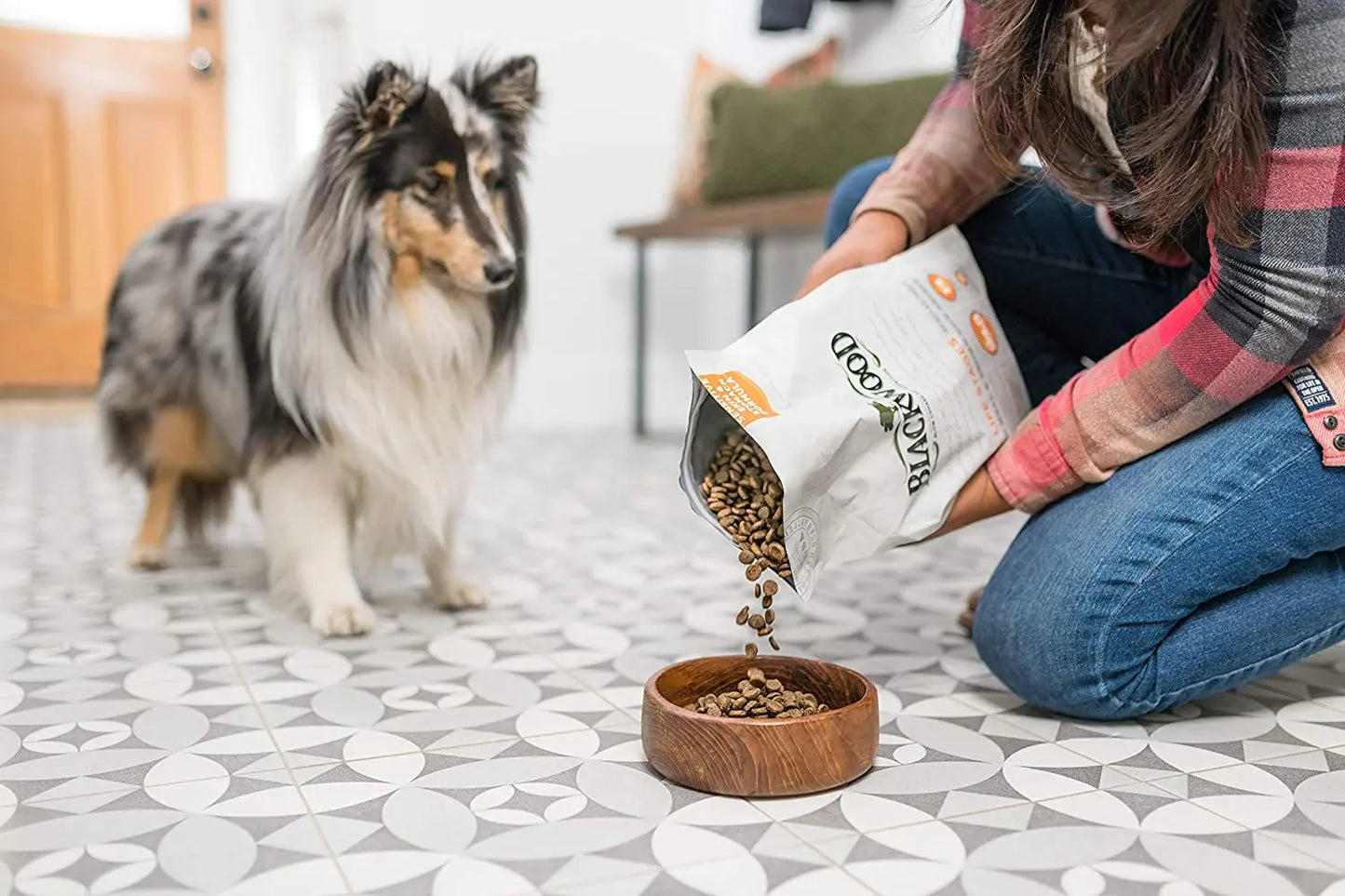 Special Diet Grain-Free Dry Dog Food for All Life Stages, 15 lb, Salmon Meal & Brown Rice Recipe for Sensitive Skin and Stomach
