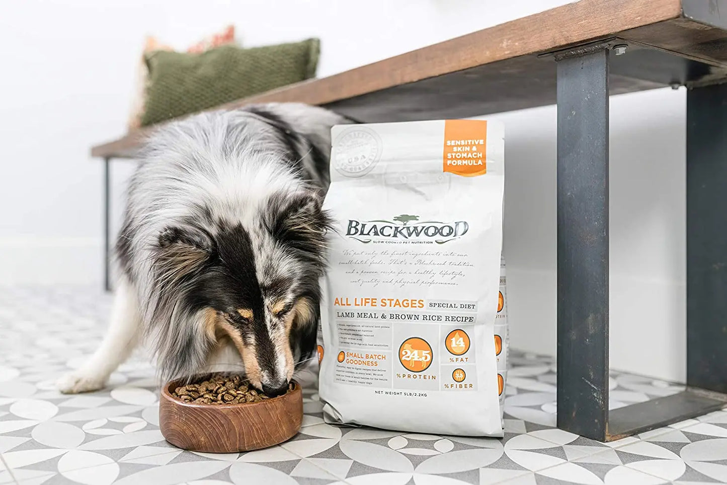 Special Diet Grain-Free Dry Dog Food for All Life Stages, 15 lb, Salmon Meal & Brown Rice Recipe for Sensitive Skin and Stomach