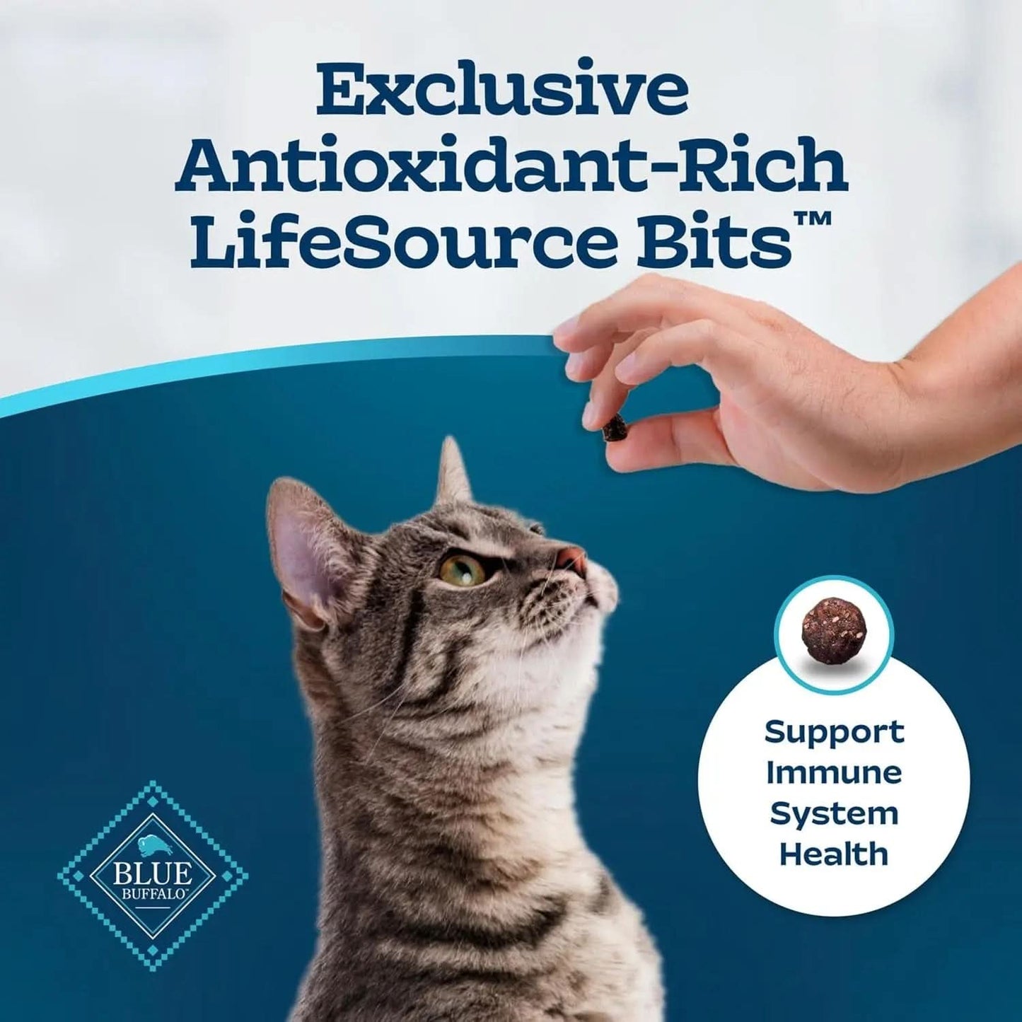 Tastefuls Natural Dry Cat Food for Adults with Sensitive Stomachs, Chicken & Brown Rice Recipe, 15 lb Bag