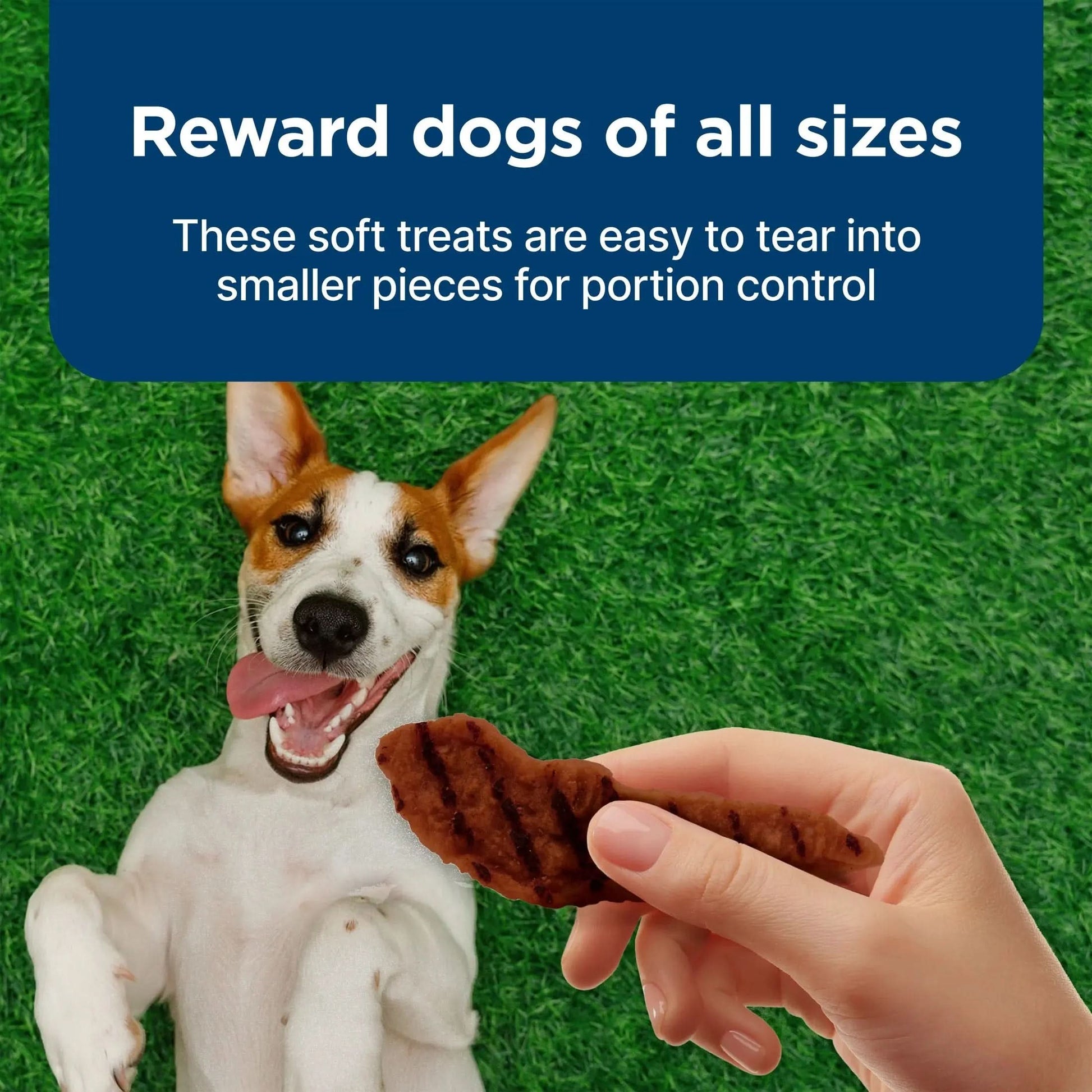 Nudges Grillers Natural Dog Treats Made with Real Steak, 16-Oz. Bag