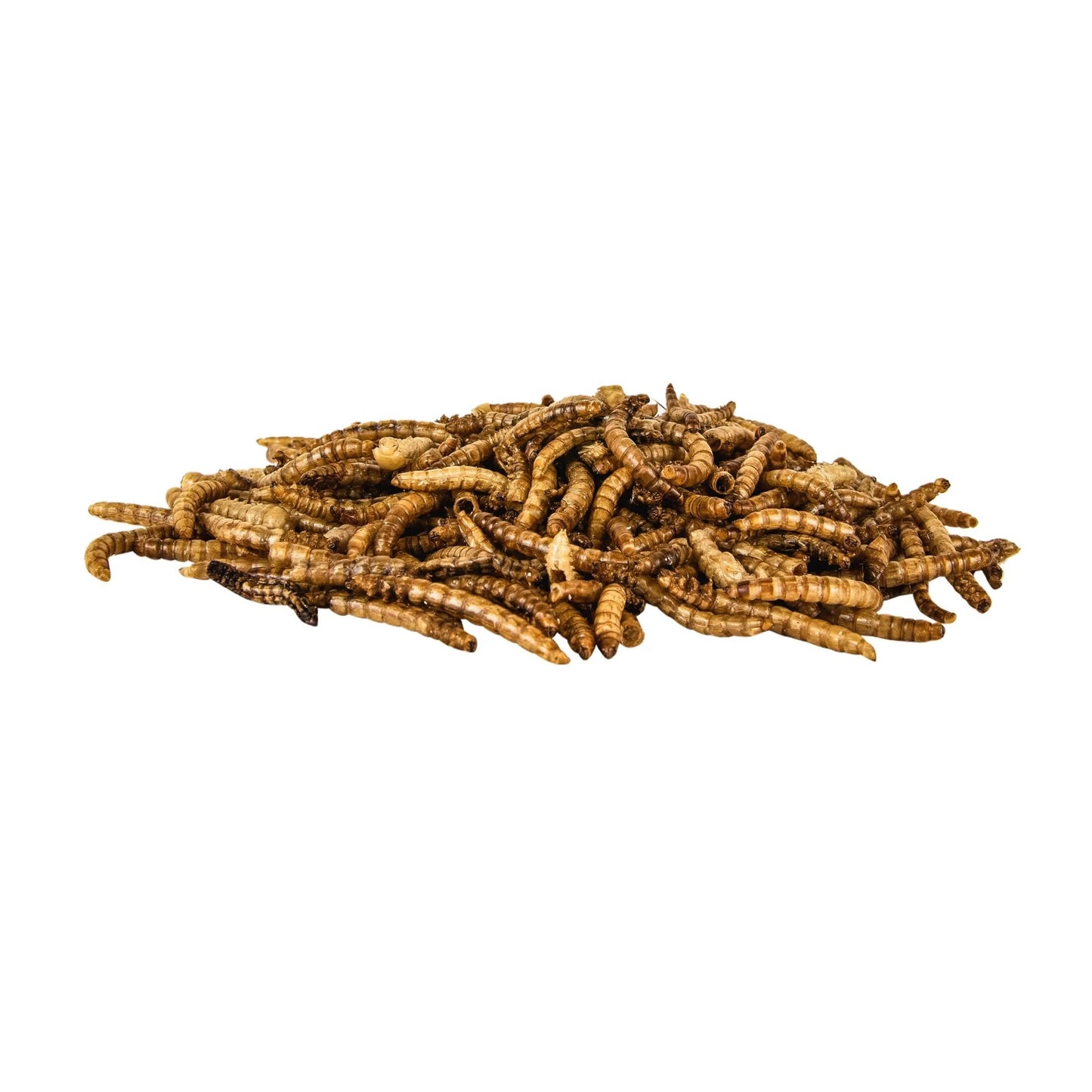 Select Mealworms, Bluebird and Wild Bird Food, 17.6 Oz. Bag, 1 Pack, Dry