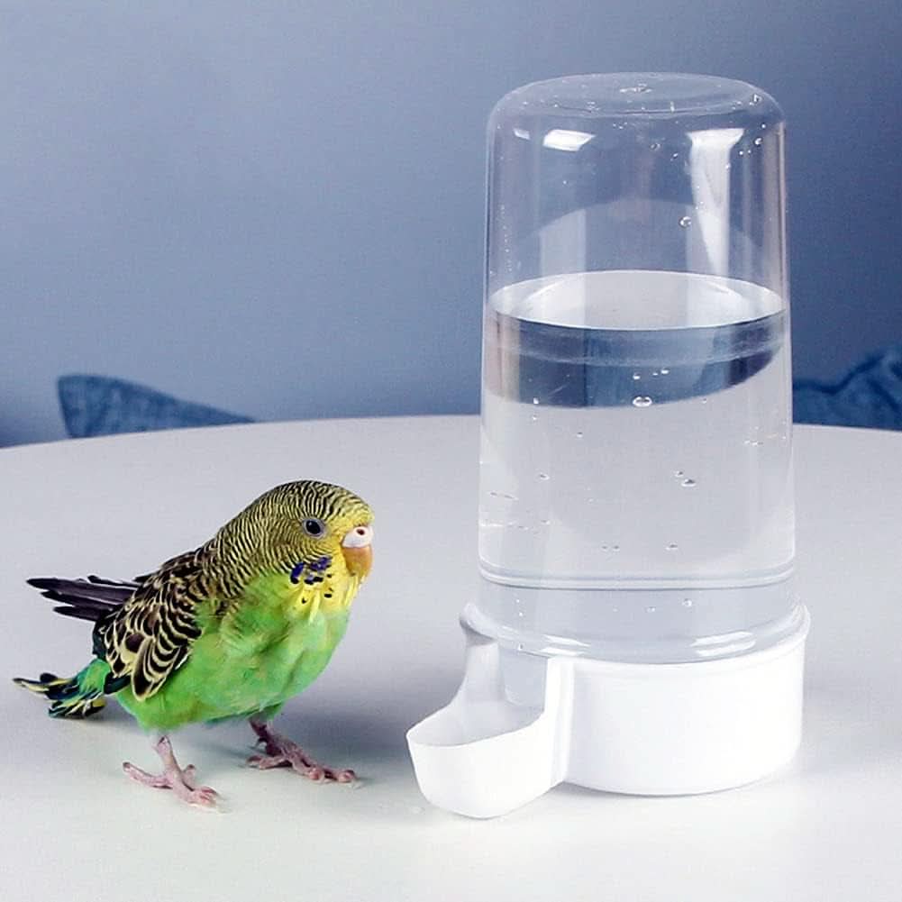 Automatic Bird Water Feeder, 13.5 Oz Suspended Water Dispenser for Parrots, Parakeets, Budgies, and Cockatiels (1 Piece)