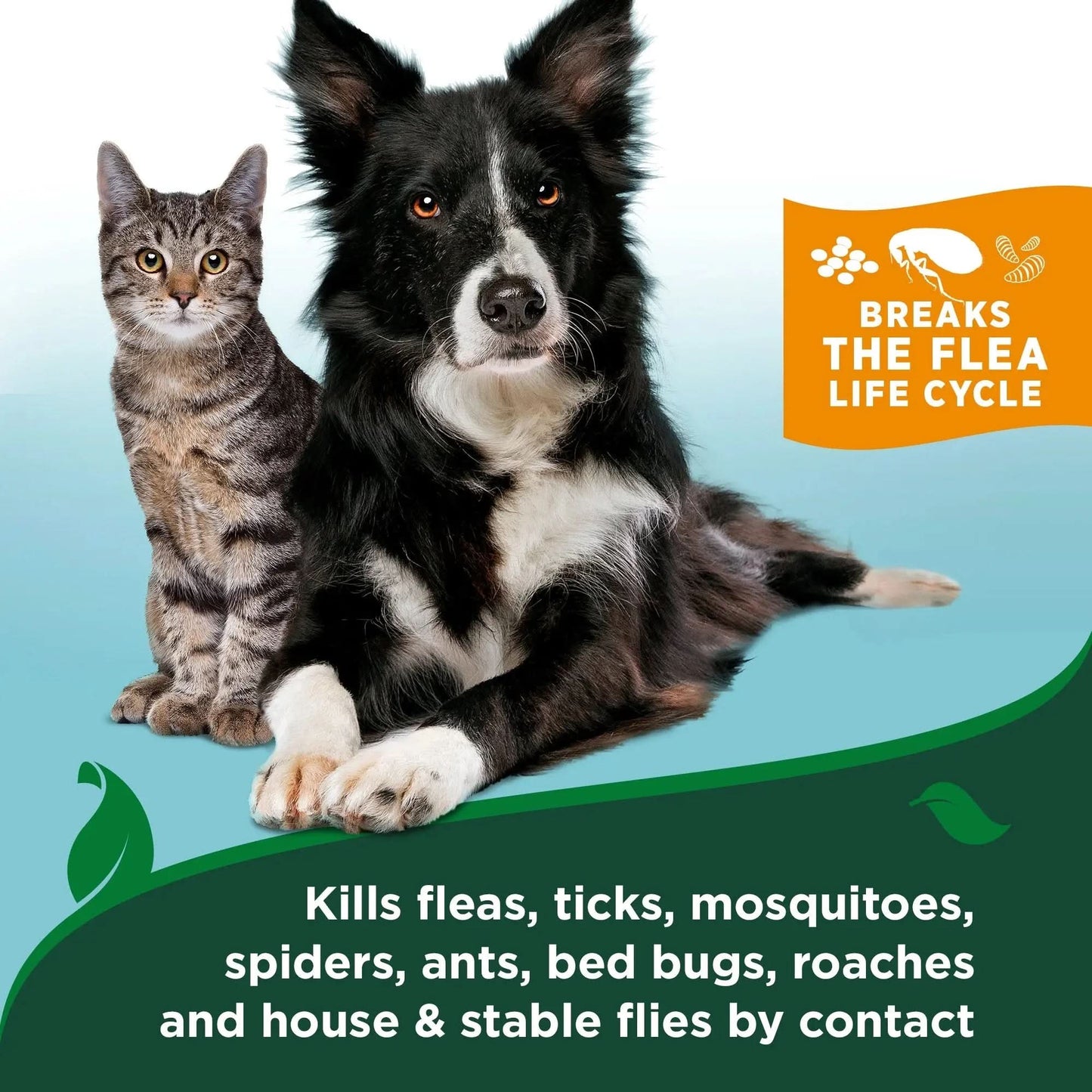 (2 Pack)  Home Spray for Dogs – 32Oz