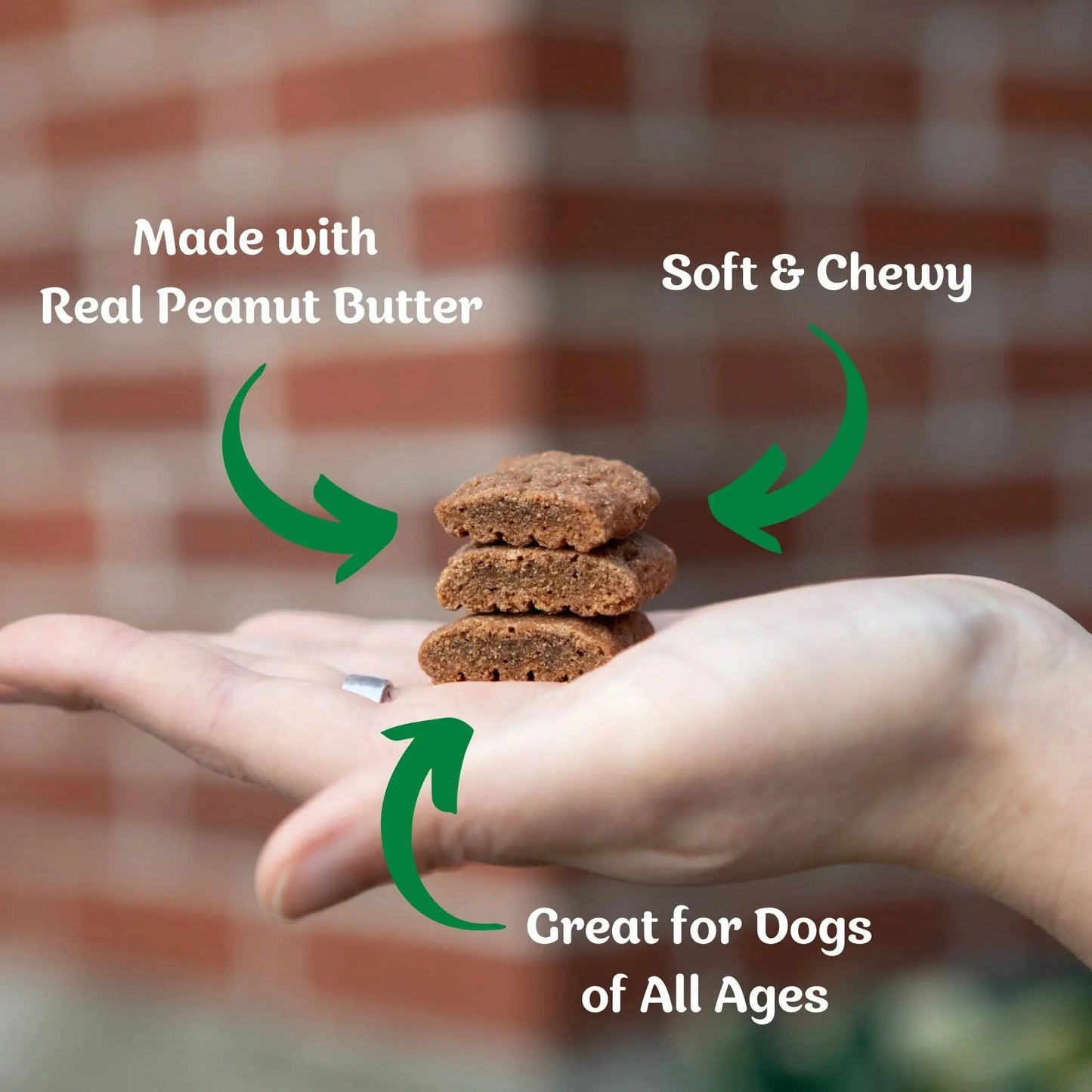 (2 Pack)  Softies Peanut Butter Flavor Medium Biscuit Treats for Dogs, 16.2 Oz. Bag