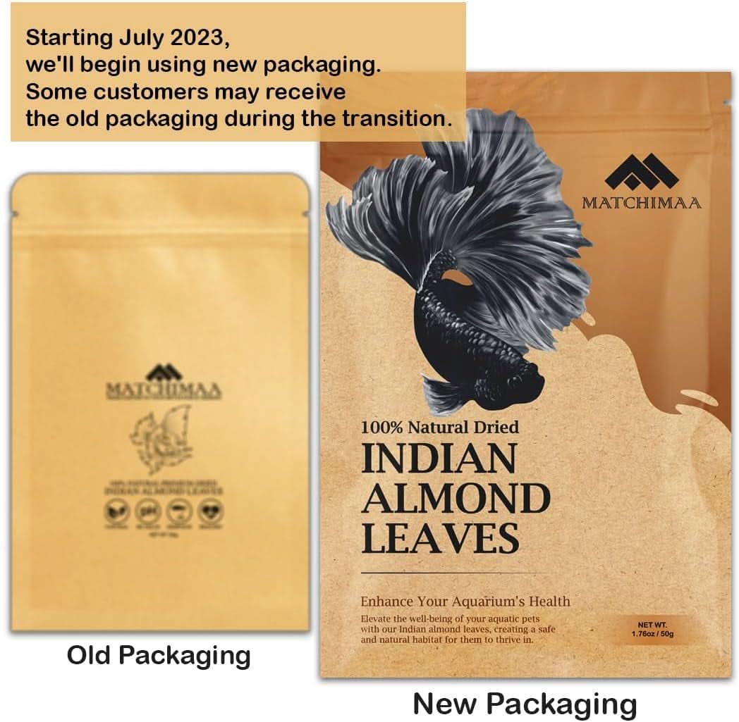 Premium Indian Almond Leaves for Aquatic Environments - pH Balance and Health Enhancement for Turtles, Frogs, Shrimp, Hermit Crabs, and Betta Fish. 50g Pack (6-9 inches, 20-25 Leaves)