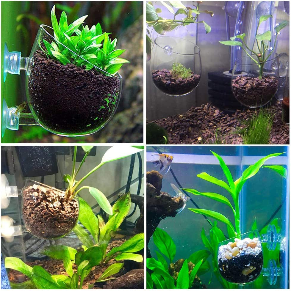 Double Crystal Glass Aquatic Plant Pot with Suction Cups for Aquarium Decoration and Live Plant Display