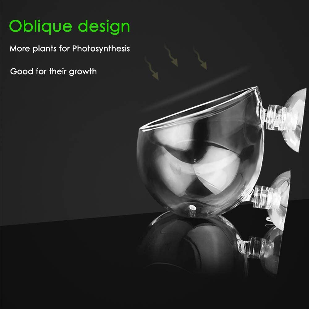 Double Crystal Glass Aquatic Plant Pot with Suction Cups for Aquarium Decoration and Live Plant Display
