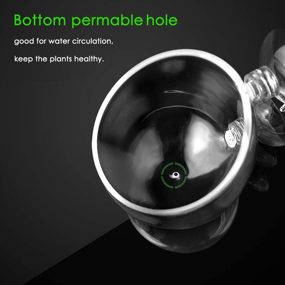 Double Crystal Glass Aquatic Plant Pot with Suction Cups for Aquarium Decoration and Live Plant Display