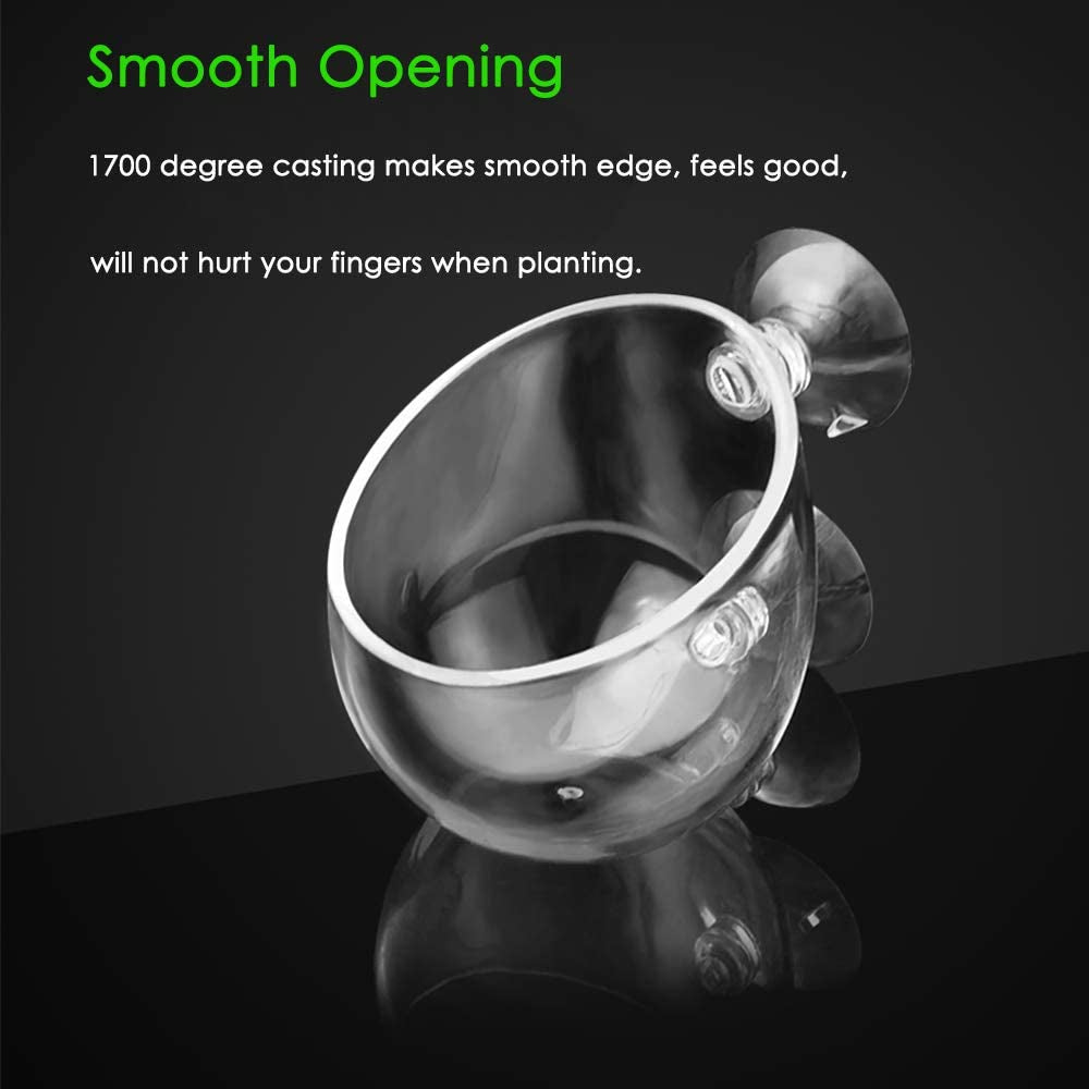 Double Crystal Glass Aquatic Plant Pot with Suction Cups for Aquarium Decoration and Live Plant Display