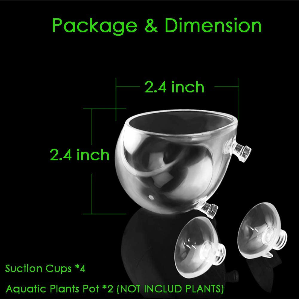 Double Crystal Glass Aquatic Plant Pot with Suction Cups for Aquarium Decoration and Live Plant Display