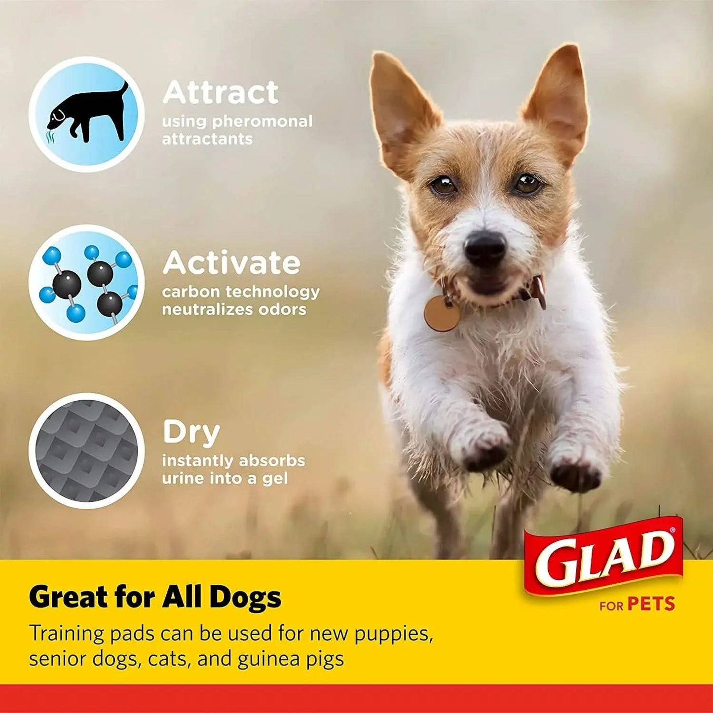 (2 Pack)  Activated Charcoal Leak-Resistant Training Pads for Dogs, 23In X 23In, 100 Count