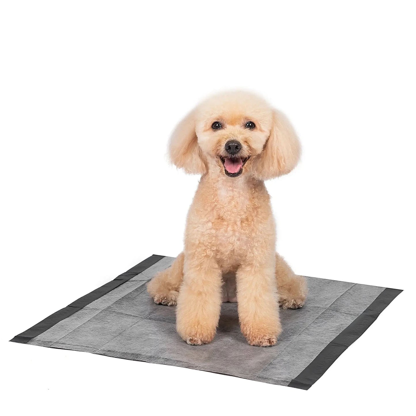(2 Pack)  Activated Charcoal Leak-Resistant Training Pads for Dogs, 23In X 23In, 100 Count