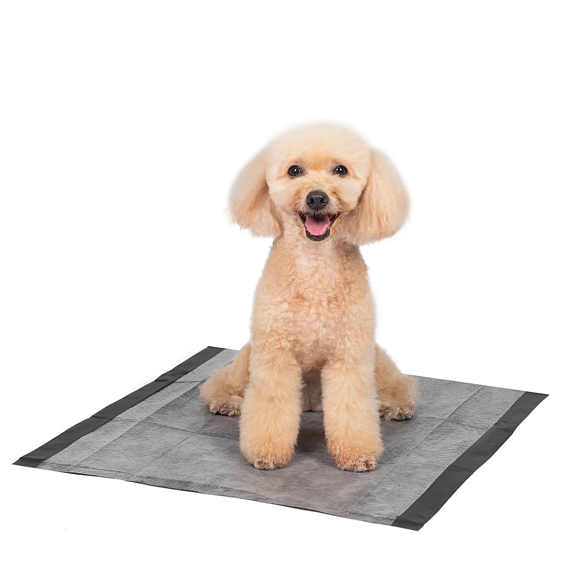 (2 Pack)  Activated Charcoal Leak-Resistant Training Pads for Dogs, 23In X 23In, 100 Count
