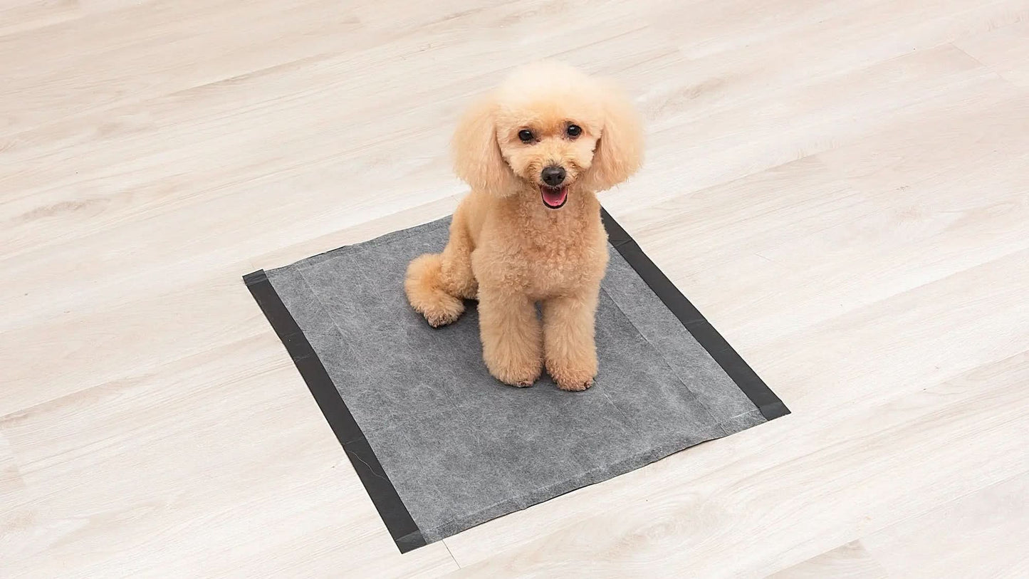 (2 Pack)  Activated Charcoal Leak-Resistant Training Pads for Dogs, 23In X 23In, 100 Count