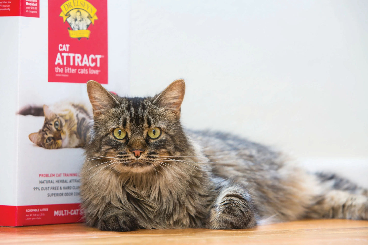 Cat Attract Natural Clumping Clay Cat Litter, Unscented, 20 Lb Box