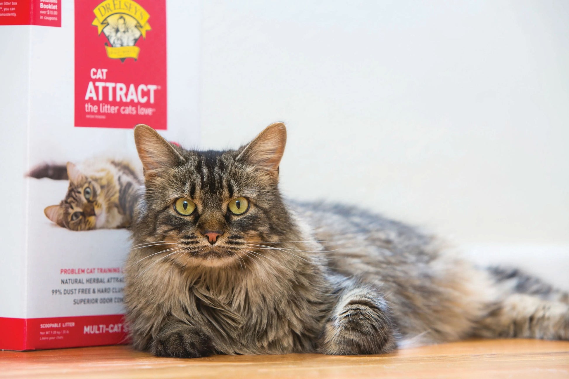 Cat Attract Natural Clumping Clay Cat Litter, Unscented, 20 Lb Box
