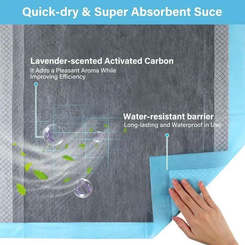 Super-Absorbent Waterproof Dog & Cat and Puppy Pet Training Pad, Housebreaking Pet Pad, 100-Count Small-Size