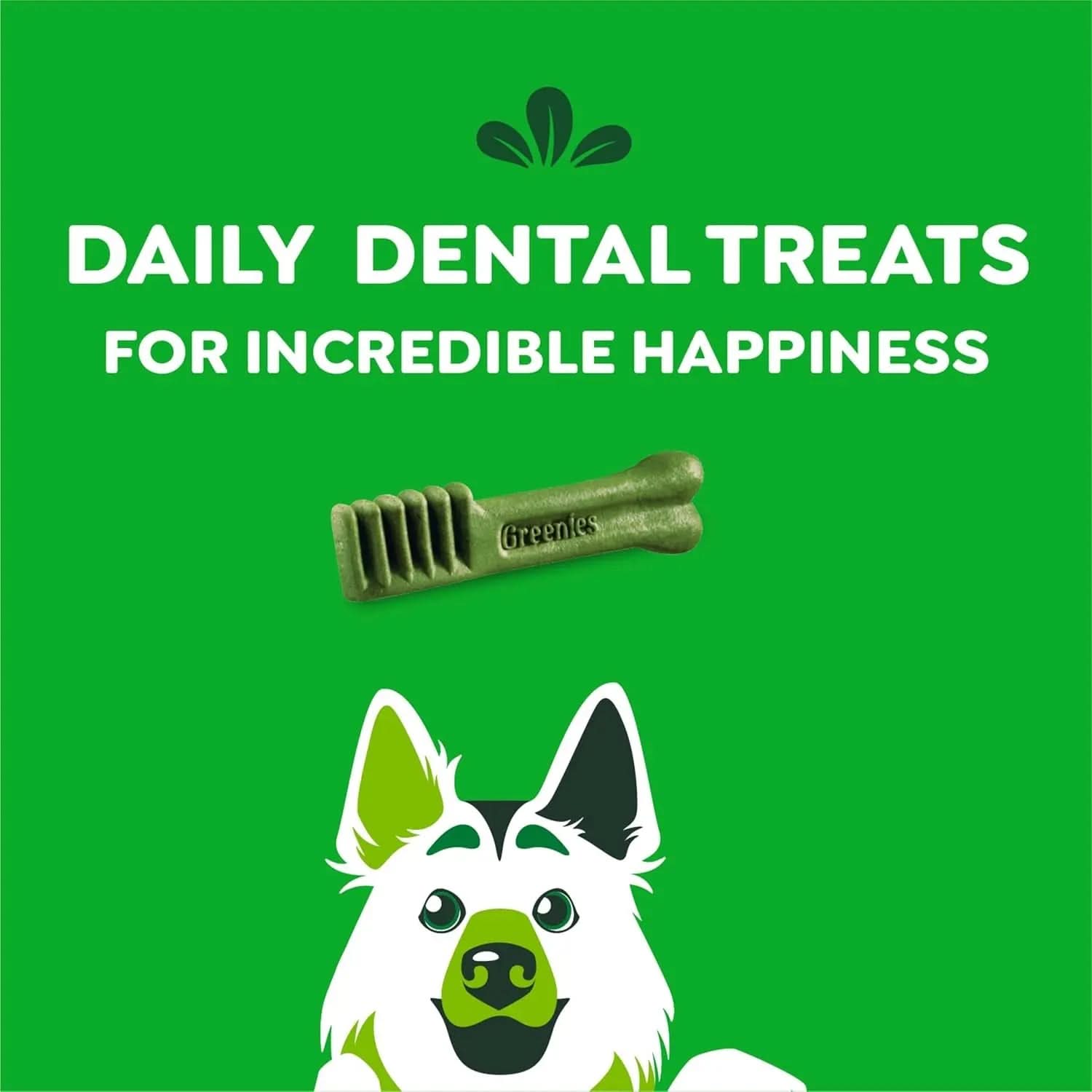 Original Large Dental Dog Treats, 54 oz. (34 Count)