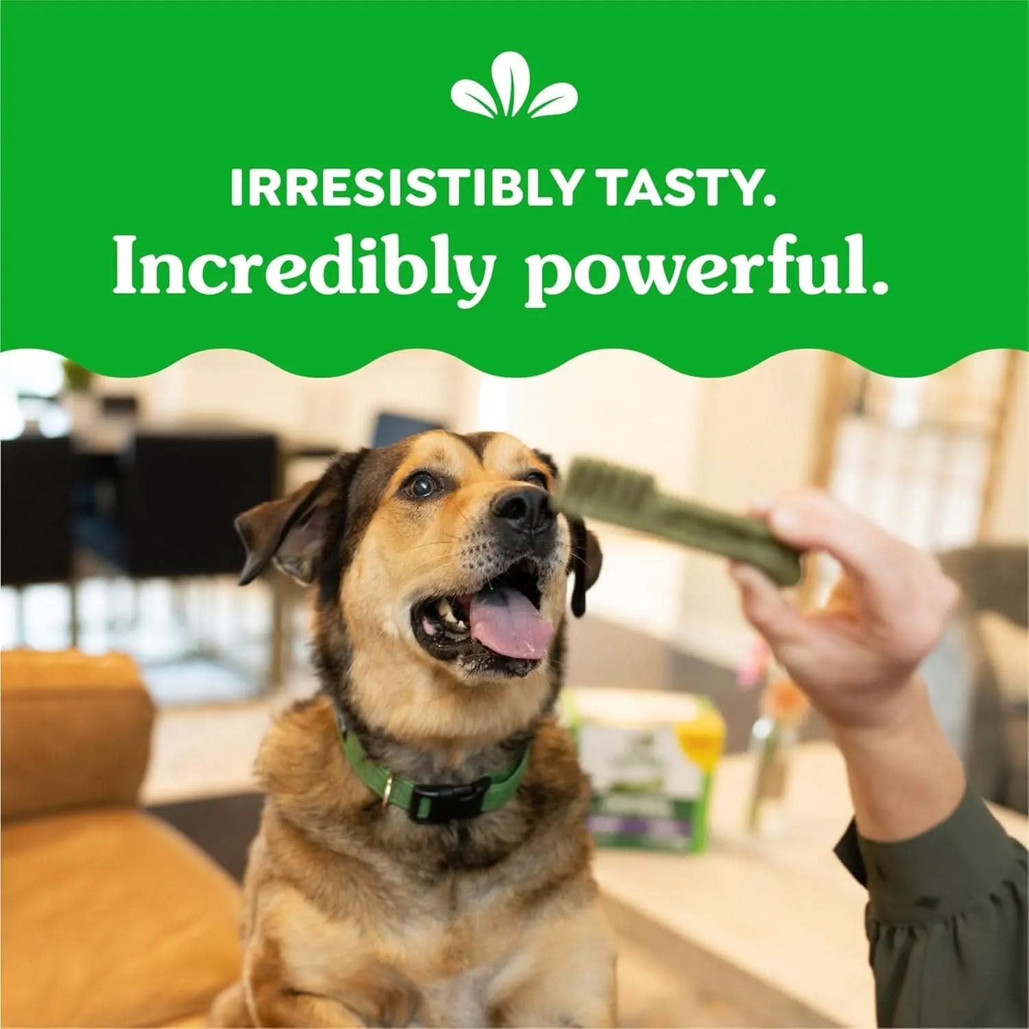 Original Large Dental Dog Treats, 54 oz. (34 Count)