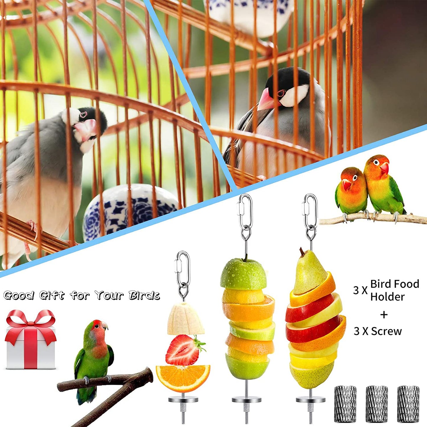 3-Piece Stainless Steel Bird Food Holder and Feeder Toy for Small Animals, Ideal for Foraging and Treating Parrots, Cockatoos, and Cockatiels