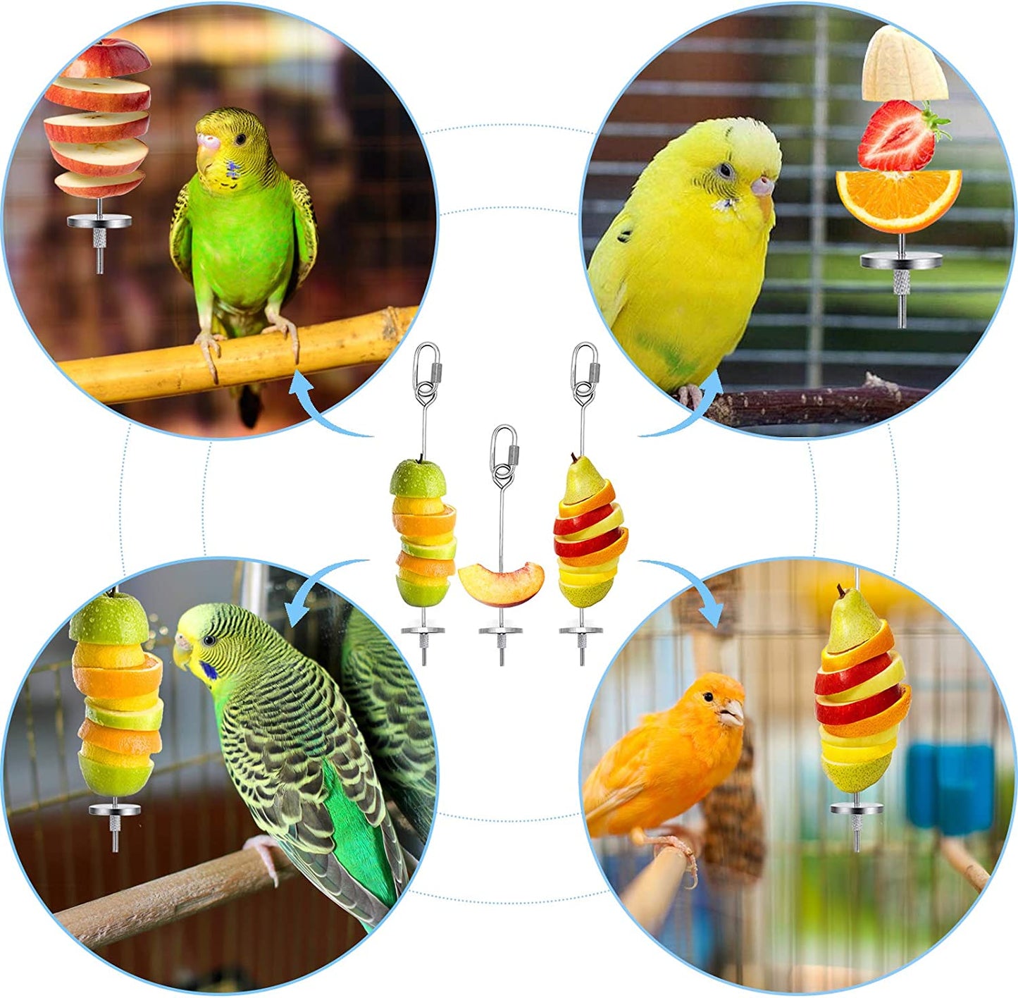 3-Piece Stainless Steel Bird Food Holder and Feeder Toy for Small Animals, Ideal for Foraging and Treating Parrots, Cockatoos, and Cockatiels