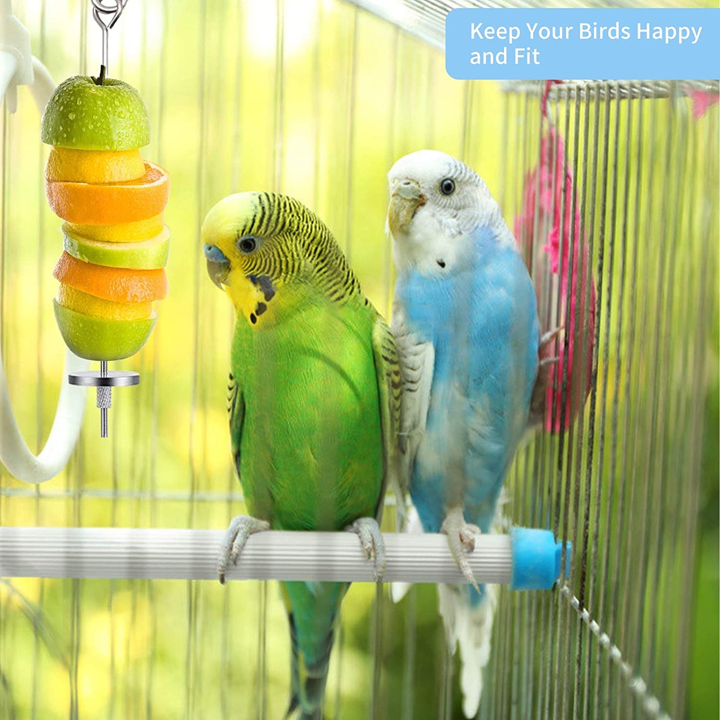 3-Piece Stainless Steel Bird Food Holder and Feeder Toy for Small Animals, Ideal for Foraging and Treating Parrots, Cockatoos, and Cockatiels