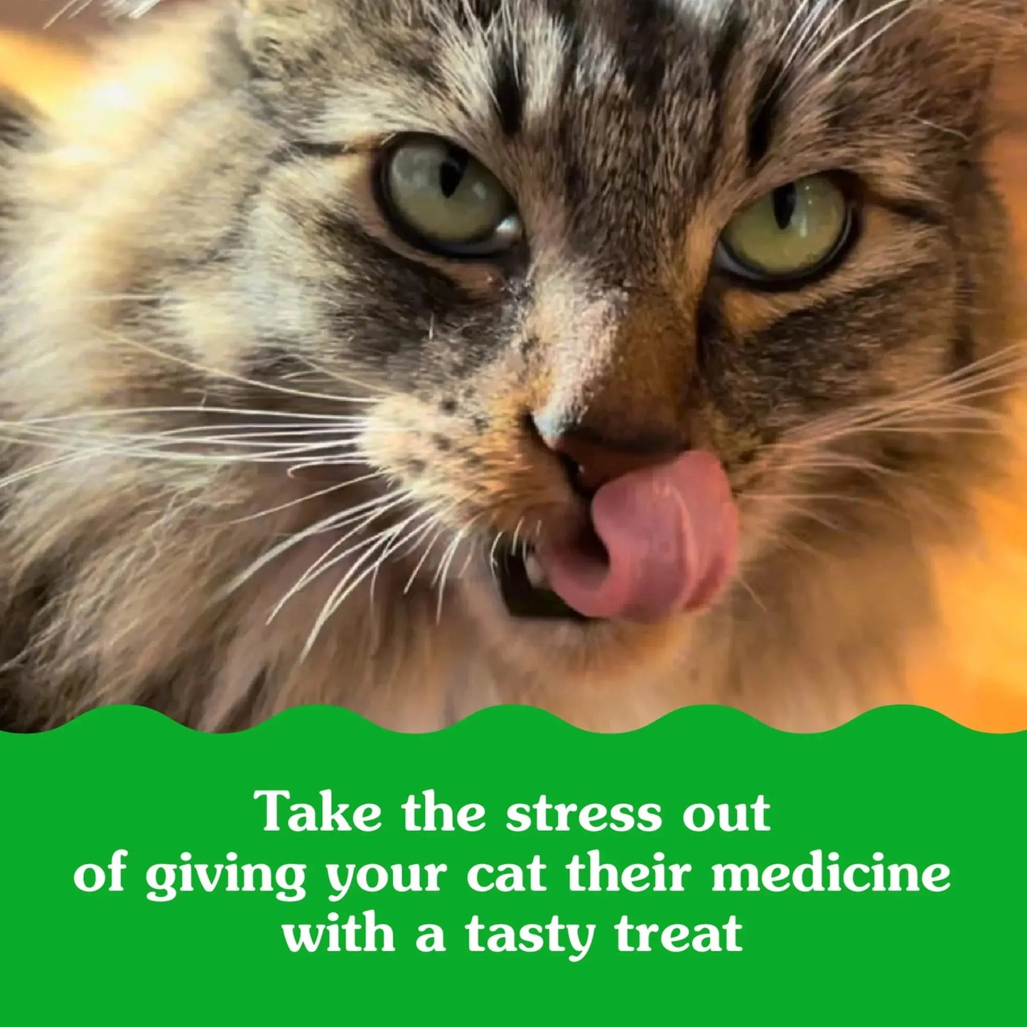 Feline Pill Pockets Natural Cat Treats, Salmon Flavor, 1.6 Oz. Pack (45 Treats)
