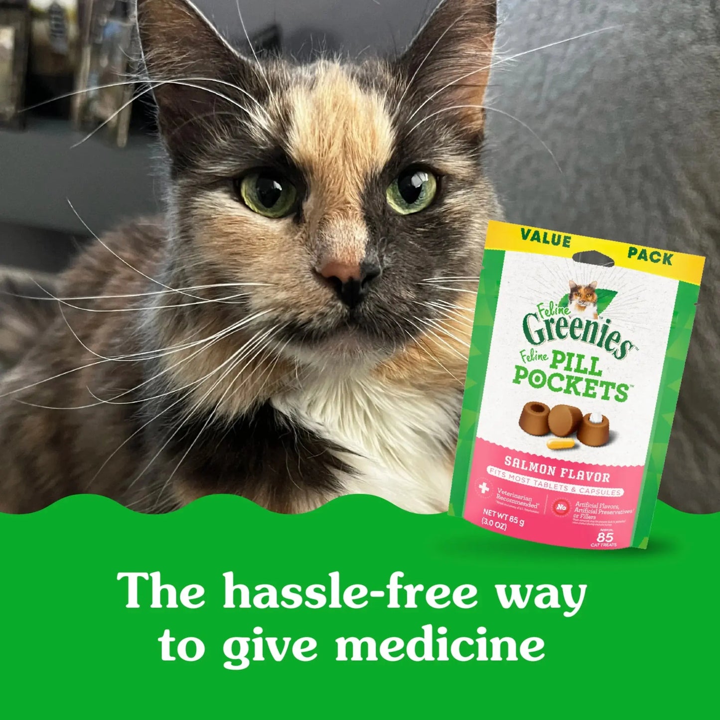 Feline Pill Pockets Natural Cat Treats, Salmon Flavor, 1.6 Oz. Pack (45 Treats)