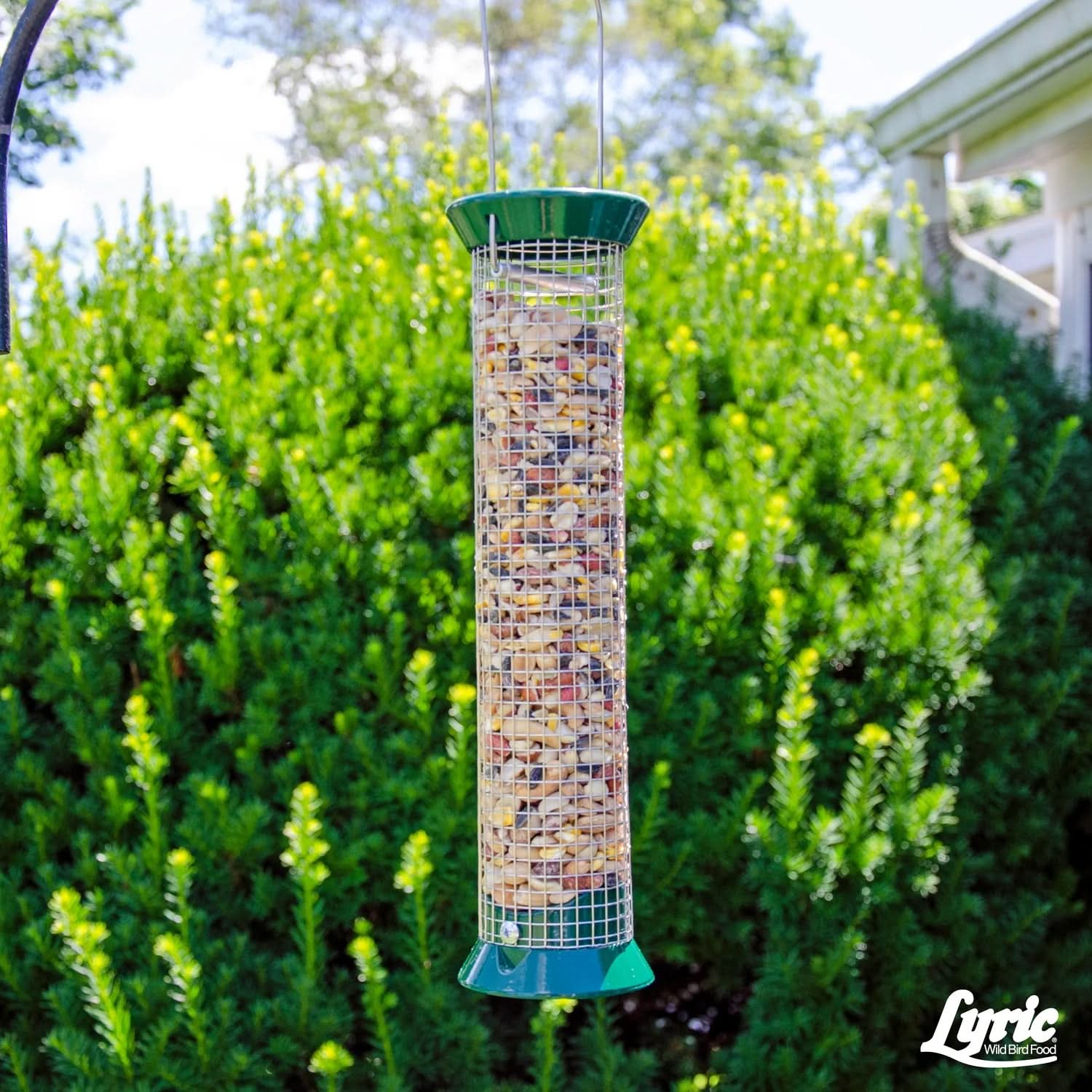 Fruit & Nut Wild Bird Seed, High Energy Wild Bird Food Mix - 5 Lb. Bag