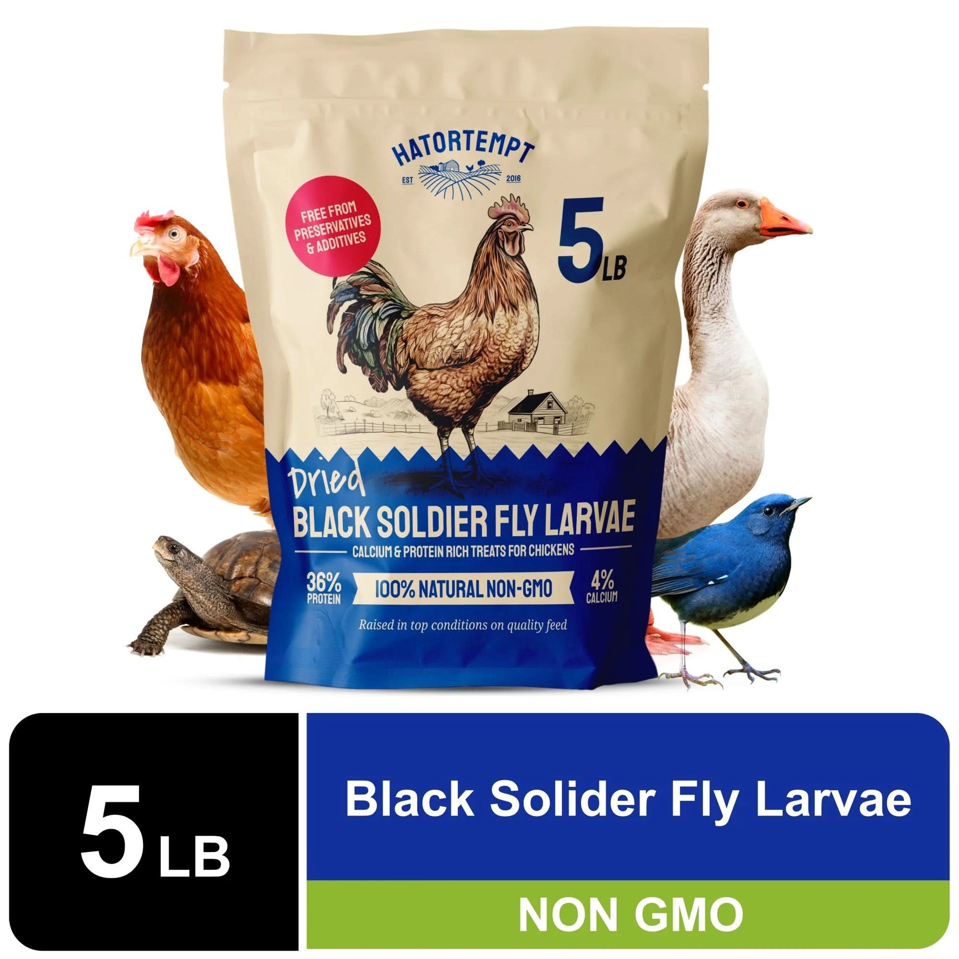 Black Soldier Fly Larvae Dry Chicken Feed for Laying Hens, 5Lb. Bag