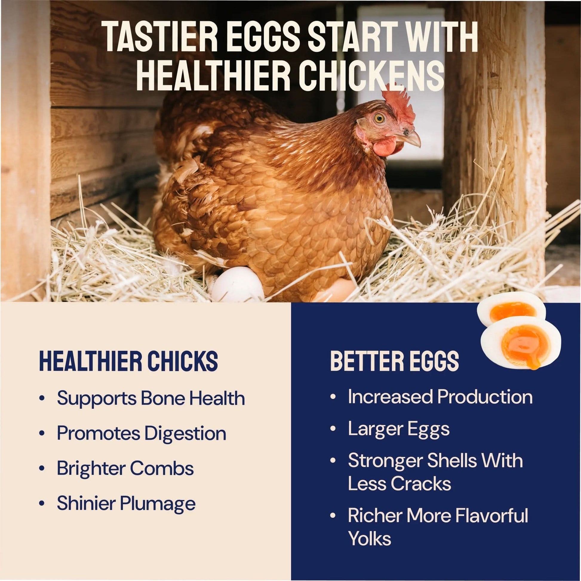 Black Soldier Fly Larvae Dry Chicken Feed for Laying Hens, 5Lb. Bag