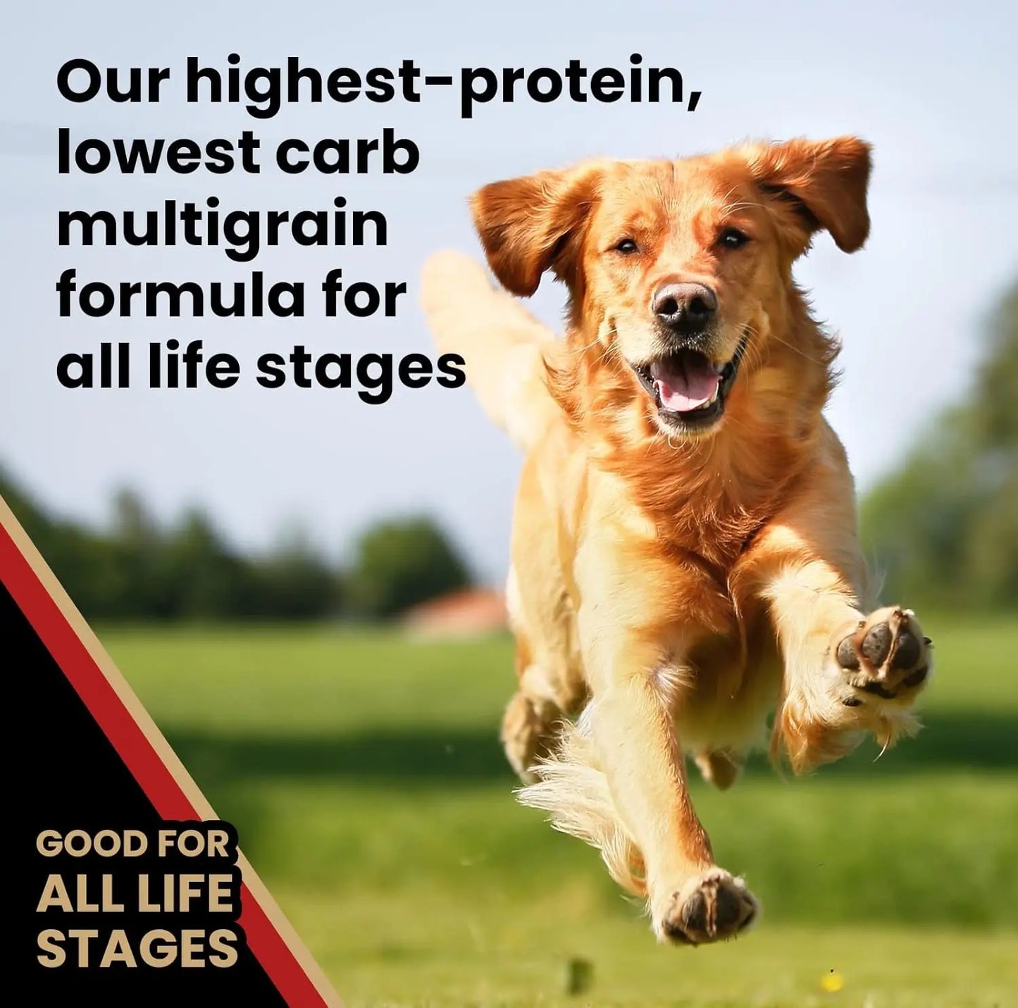 Super Premium Dog Food - Purpose Nutra Pro - Gluten-Free, High Protein, Low Carb Dry Kibble for Active Dogs of All Ages - Suitable for Sporting, Pregnant, Nursing Dogs and Puppies, 5 lbs