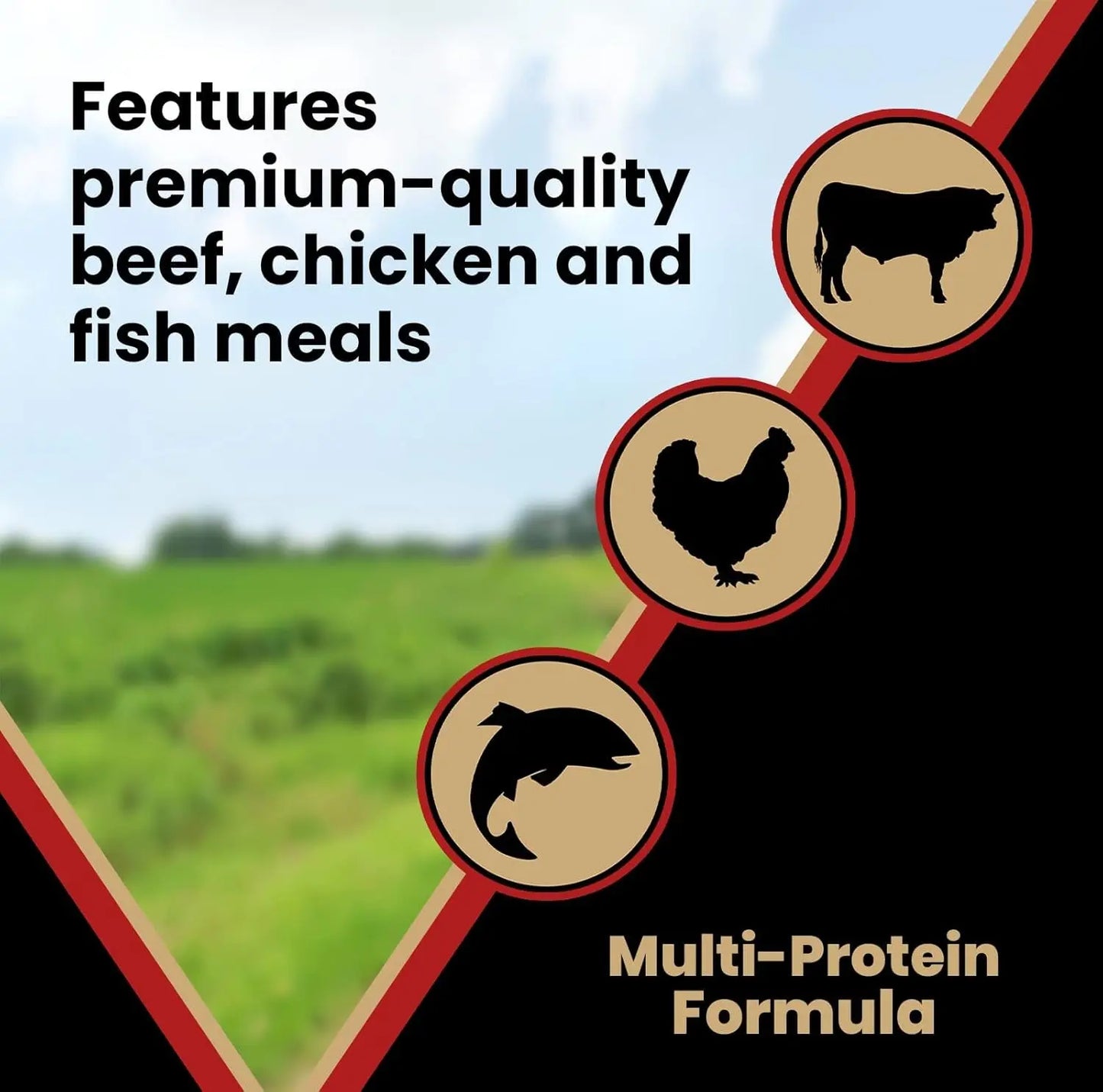 Super Premium Dog Food - Purpose Nutra Pro - Gluten-Free, High Protein, Low Carb Dry Kibble for Active Dogs of All Ages - Suitable for Sporting, Pregnant, Nursing Dogs and Puppies, 5 lbs