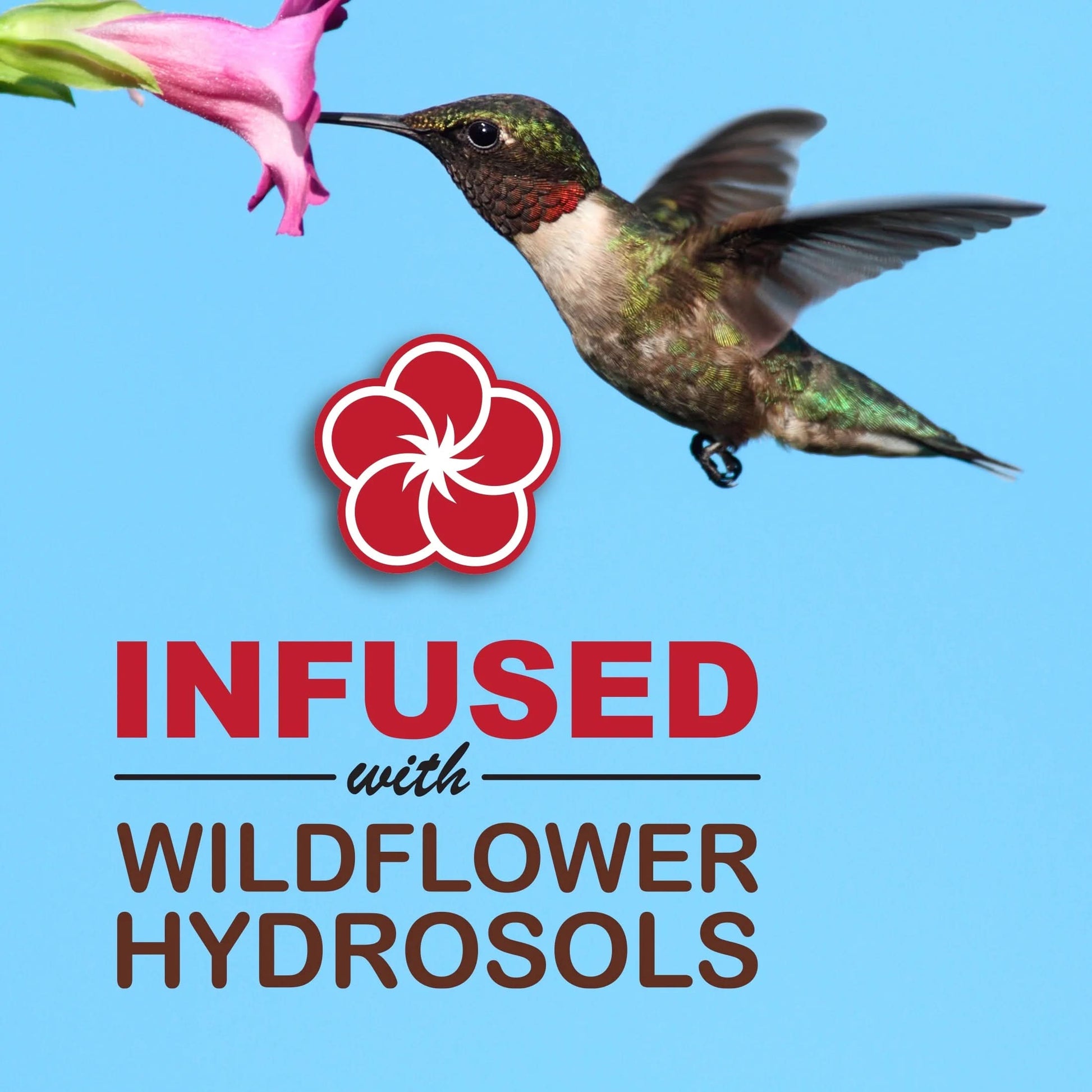 Sweet-Nectar® Ready-To-Use Hummingbird Nectar, Dye-Free, 50.7 Fl Oz Pouch