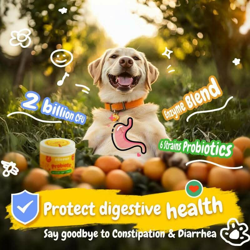 PENPEN Probiotics for Dogs - Multi-Probiotic & Enzyme Blend for Digestive Health, Eases Sensitive Stomachs (Beef Chews)