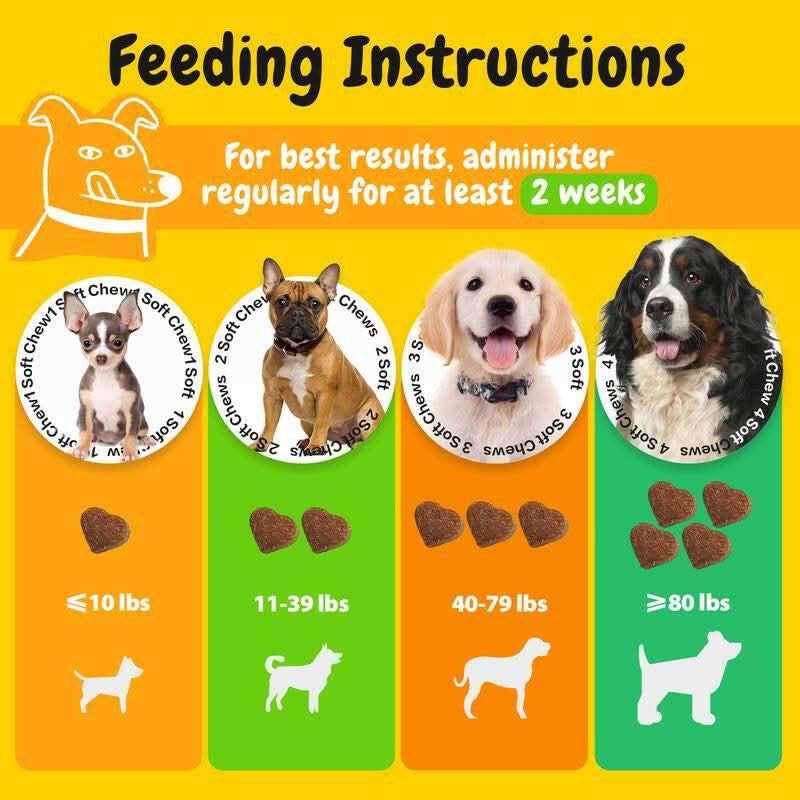 PENPEN Probiotics for Dogs - Multi-Probiotic & Enzyme Blend for Digestive Health, Eases Sensitive Stomachs (Beef Chews)