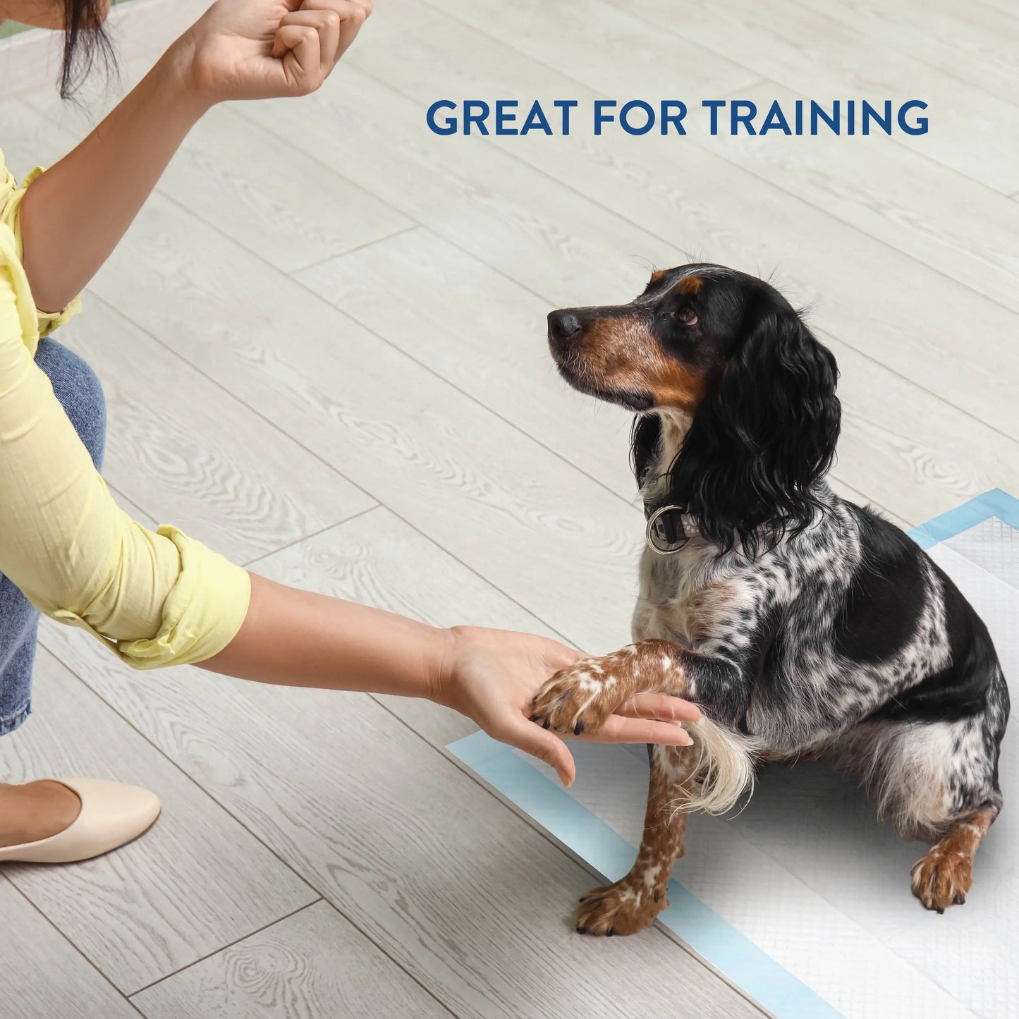 Puppy Training Pads, 50 Count Leak-Proof Disposable, 22" X 22"