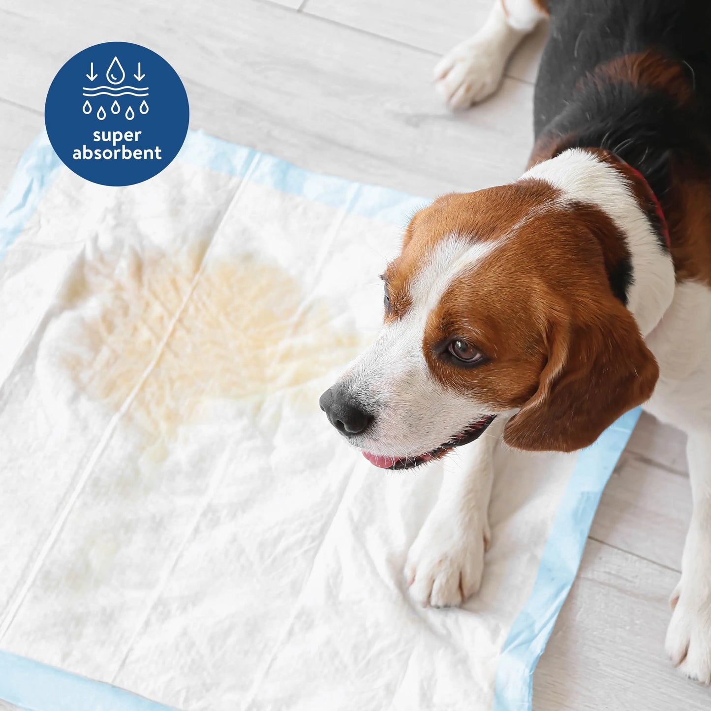 Puppy Training Pads, 50 Count Leak-Proof Disposable, 22" X 22"
