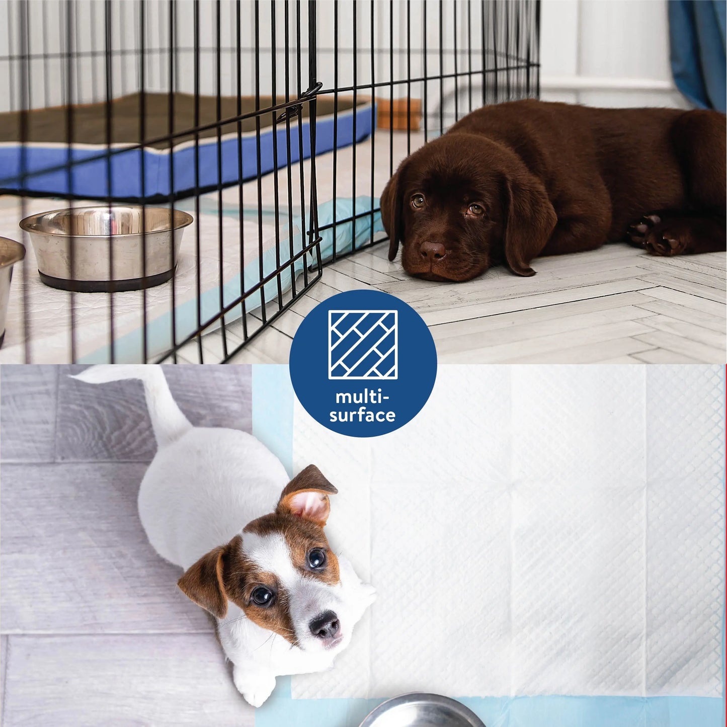 Puppy Training Pads, 50 Count Leak-Proof Disposable, 22" X 22"