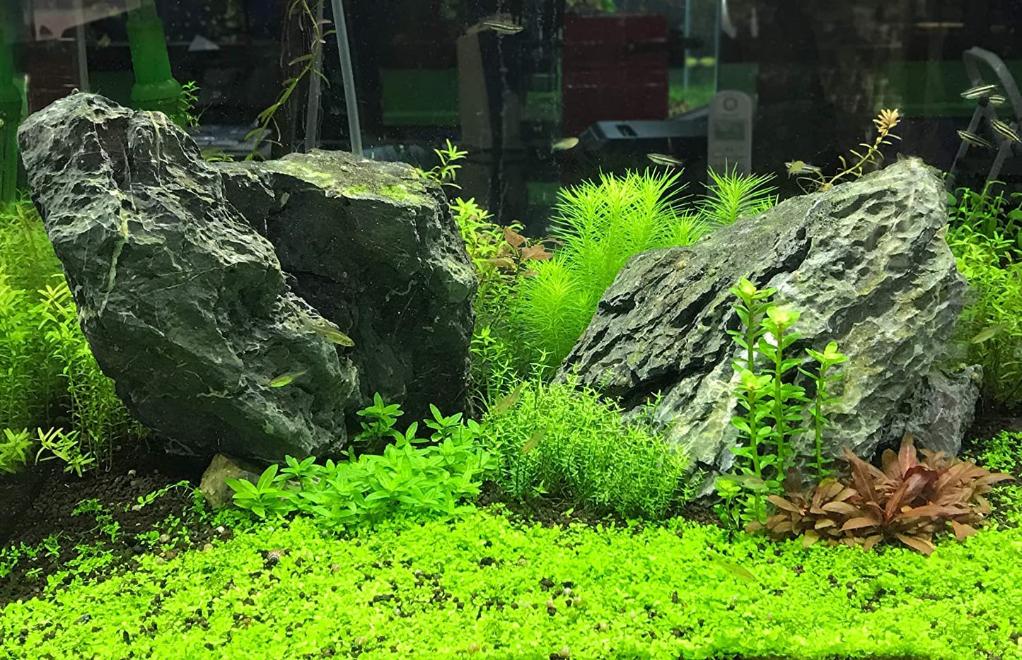 Flourish Advance Growth Supplement for Aquatic Plants - 500 mL