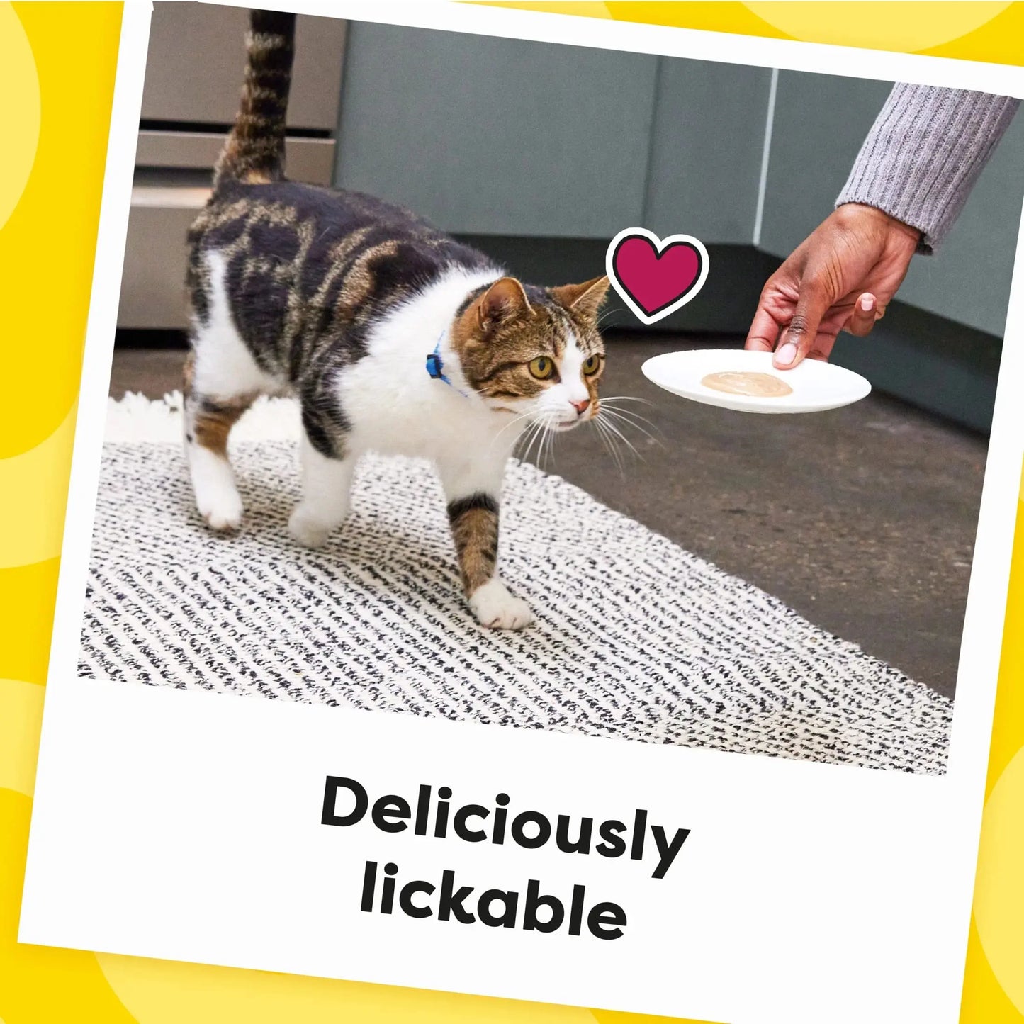 Creamy Puree with Chicken Squeezable Lickable Wet Treats for Cats, 0.42 Oz (16 Pack)